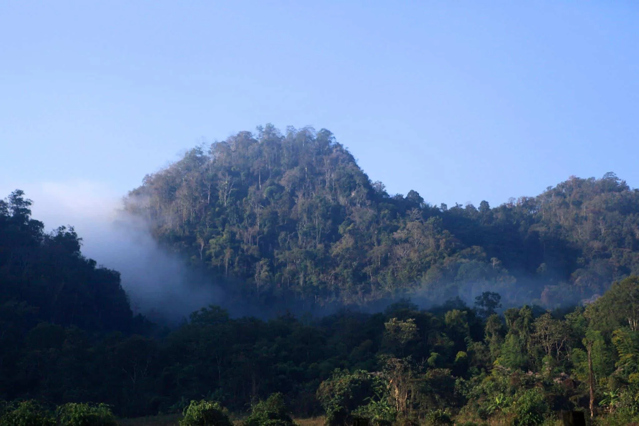 Wat Pa Tam Wua vienuolynas