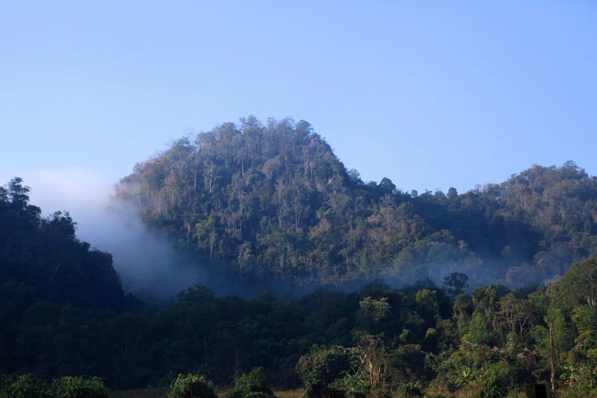 Wat Pa Tam Wua vienuolynas